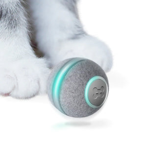 Tiny Smart Ball Para Gatos