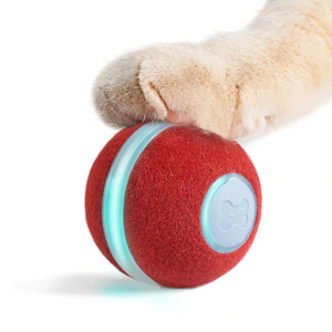 Tiny Smart Ball Para Gatos